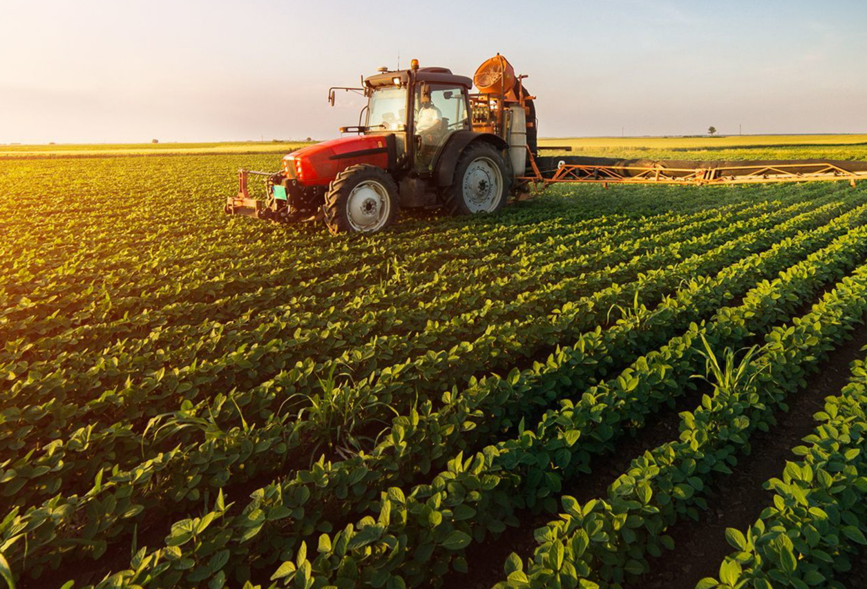 Mezőgazdasági kárbejelentés: Az Agrárminisztérium ismertette a szabályokat - biztositomagazin.hu cikk